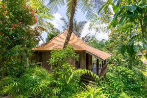 One Bed Jungle Bungalow